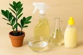  چرا براق کننده های خانگی؟