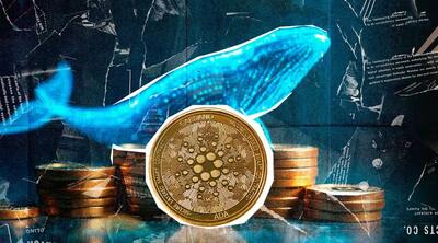  انباشت ۸۱۹ میلیون کاردانو با وجود ریزش ۷۱ درصدی قیمت؛ زمان بازگشت روند فرا رسیده؟