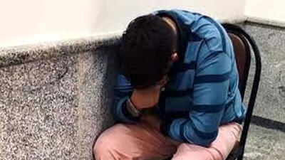  دستگیری سارق توسط دختر رزمی کار / من را از موتور بر روی زمین کوبید