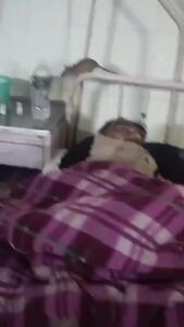  فیلم تردد موش ها کنار تخت بیمار در یک مرکز درمانی در هند