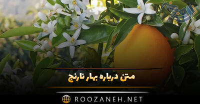  متن درباره بهار نارنج 🍊؛ جملات ادبی، دلنوشته و متن زیبا