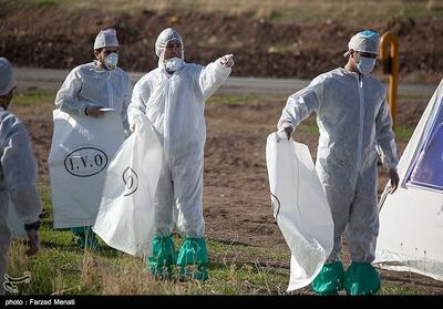  ماجرای واحدروستایی آلوده به آنفلوآنزای فوق‌حاد پرندگان در اراک چه بود؟ - تسنیم