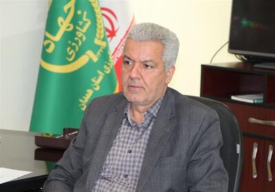  غذا مهم‌ترین سلاح کشور در جنگ اقتصادی است - تسنیم