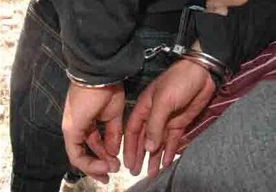  کشف قاچاق، دستگیری سارقان و برخورد با هنجارشکنان در خراسان جنوبی - تسنیم