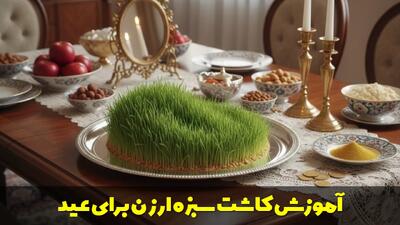  آموزش کاشت سبزه ارزن برای عید نوروز + نکات و مراقبت ها