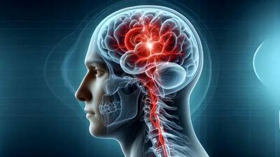  با ورزش منظم از پیری مغز جلوگیری کنید