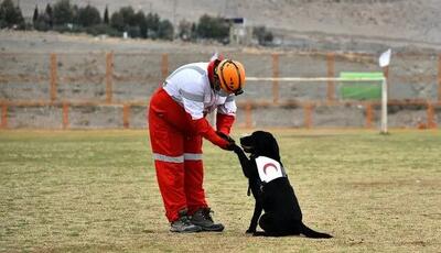  تجهیز سگ‌های زنده‌یاب هلال‌احمر به سامانه‌های هوشمند موقعیت‌یاب