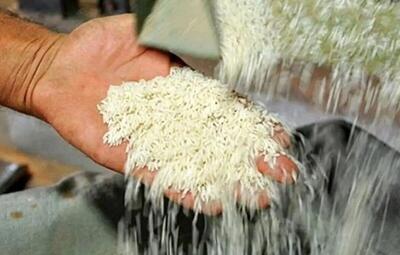  آغاز توزیع برنج دولتی به قیمت ۱۵۱ هزار تومان / کالاهای اساسی را با تخفیف ۳۰ درصدی بخرید