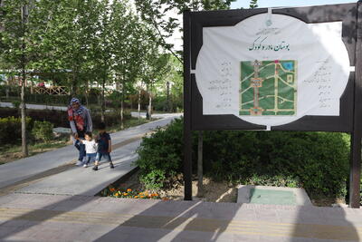  طراحی بسته جامع خدمات برای مادران تهرانی