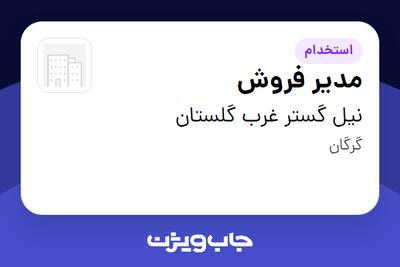  استخدام مدیر فروش در نیل گستر غرب گلستان