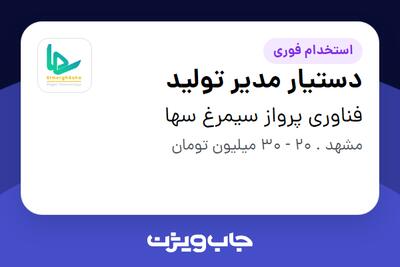  استخدام دستیار مدیر تولید - آقا در فناوری پرواز سیمرغ سها