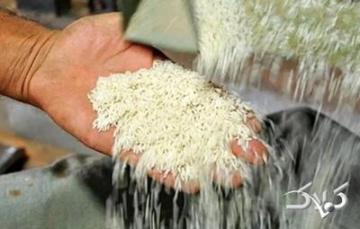  برنج دولتی چقدر شد؟ - مجله اینترنتی کولاک