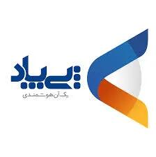  سهامداران پی پاد چقدر سود گرفتند؟