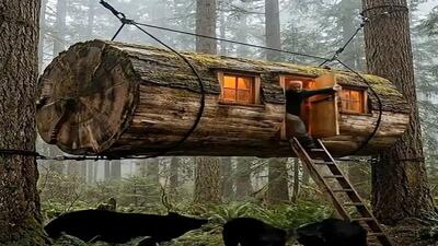  معماری خلاقانه؛ مرد با خونه معلقی که ساخت گرگا رو مضحکه خودش کرد دنبالشن پیداش نمیکنن