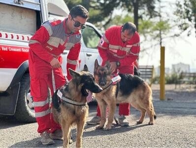  تجهیز سگ‌های زنده‌یاب هلال‌احمر به سامانه‌های هوشمند موقعیت یاب
