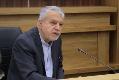  صالحی امیری: دیپلماسی فرهنگی، مکمل دیپلماسی سیاسی در بازسازی تصویر ایران است