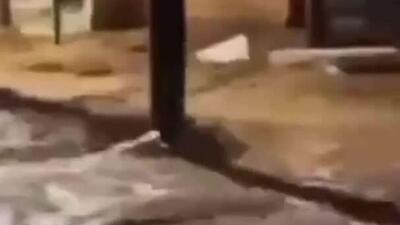  مشاهده تابوت های شناور پس از باران‌های سیل‌آسا در خیابان‌های شهر اوبا برزیل