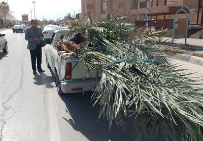  باغداران ‌نهال‌ را از مراکز مجاز و دارای تأییدیه رسمی تهیه کنند - تسنیم