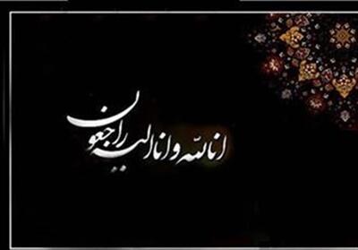  هنرمند پیشکسوت موسیقی فولکلور کردی دار فانی را وداع گفت - تسنیم