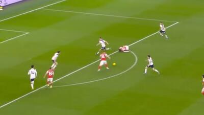  شباهت گل‌های گیوکرش و اوبامیانگ به تاتنهام