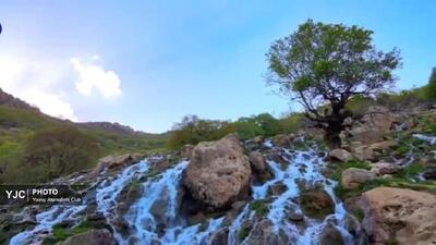  روستای اندیکان دورود؛ بهارِ بی‌انتها + فیلم