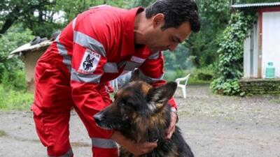  تجهیز سگ‌های زنده‌یاب هلال‌احمر به سامانه‌های هوشمند رصد و پایش عملیاتی