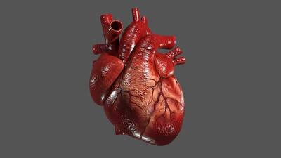  یاقوت سرخ، تقویت‌کننده قلب