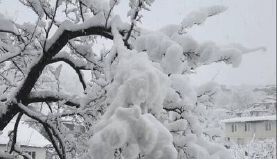  تعطیلی مدارس آذربایجان‌شرقی در برخی مناطق