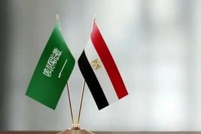  تاکید وزرای خارجه مصر و عربستان بر کاهش تنش و اولویت دیپلماسی در منطقه