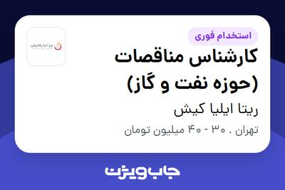  استخدام کارشناس مناقصات (حوزه نفت و گاز) در ریتا ایلیا کیش