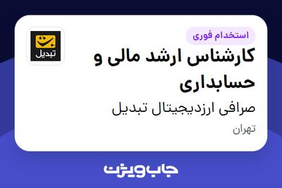  استخدام کارشناس ارشد مالی و حسابداری در صرافی ارزدیجیتال تبدیل
