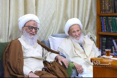  دیدار رمضانی دو مرجع تقلید در نجف اشرف