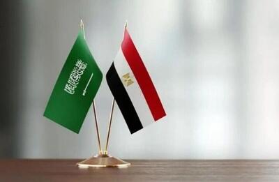  تاکید وزرای خارجه مصر و عربستان بر کاهش تنش و اولویت دیپلماسی در منطقه