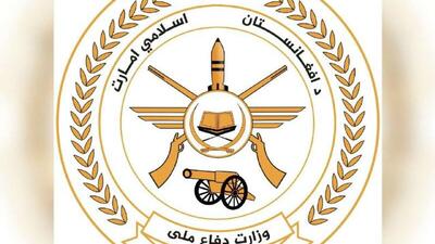  وزارت دفاع امارت اسلامی از حمله به چندین پایگاه نظامی در پاکستان خبر داد