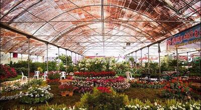  نمایشگاه دائمی؛ حلقه اتصال تولید، صادرات و گردشگری گل و گیاه محلات