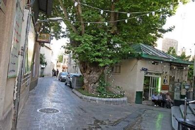  طرح حریم جماران؛ آقایان! امام (ره) هم به تضییع حقوق مردم راضی نیست