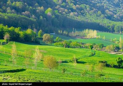  تولد  مرکز تخصصی هیرکانی  در قلب چالوس - تسنیم