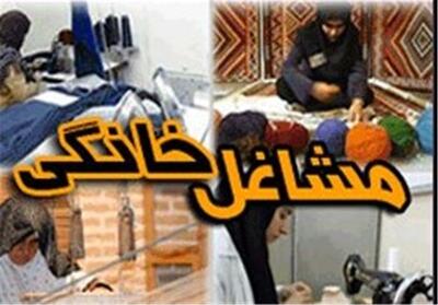  رشد 100 درصدی اعتبارات مشاغل خانگی در کردستان - تسنیم