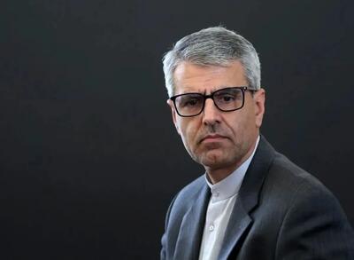  سخنگوی وزارت خارجه: رهبر انقلاب و رئیس جمهور در حال مدیریت اوضاع هستند