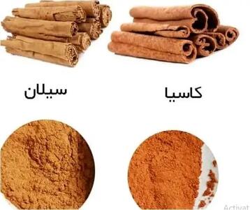  دارچین سیلان در مقابل دارچین کاسیا: کدامیک برای سلامتی بهتر است؟