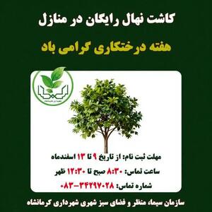  آغاز ثبت‌نام توزیع و کاشت نهال مثمر رایگان برای کاشت در منازل کرمانشاه
