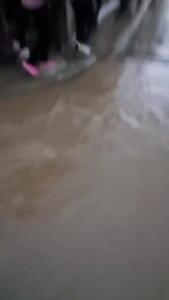  سقوط هواپیمای حامل اسکناس در بولیوی با چندین کشته و زخمی + فیلم