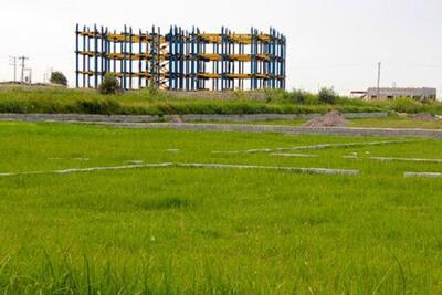  تغییر قابل توجه کاربری اراضی کشاورزی در جنوب کشور