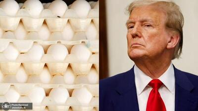  ترامپ به کاهش قیمت تخم مرغ افتخار کرد