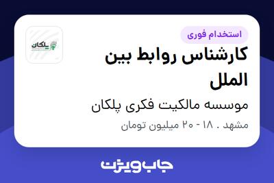  استخدام کارشناس روابط بین الملل - خانم در موسسه مالکیت فکری پلکان