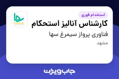  استخدام کارشناس آنالیز استحکام - آقا در فناوری پرواز سیمرغ سها