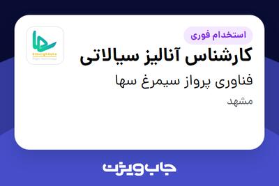  استخدام کارشناس آنالیز سیالاتی - آقا در فناوری پرواز سیمرغ سها