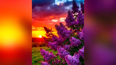  فال ابجد امروز شنبه 9 اسفند 1404
