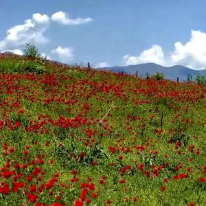  دو چهره از زیبایی ایران وصف ناپذیر