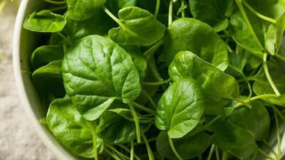  چه سبزی‌هایی را باید از وعده سحری خود حذف کنیم؟